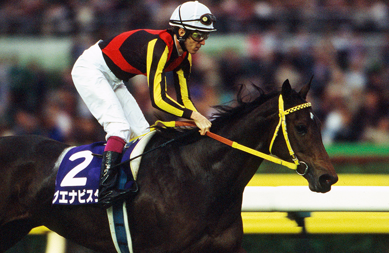 ブエナビスタ｜名馬メモリアル｜競馬情報ならJRA-VAN