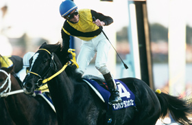 マンハッタンカフェ｜名馬メモリアル｜競馬情報ならJRA-VAN
