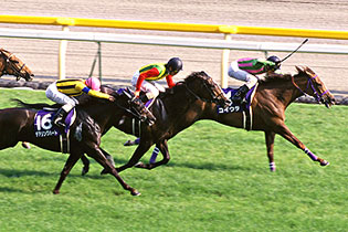 JRAホームページ｜データファイル｜競走成績データ