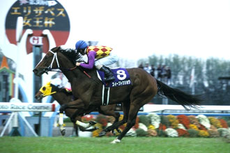 JRAホームページ｜データファイル｜競走成績データ