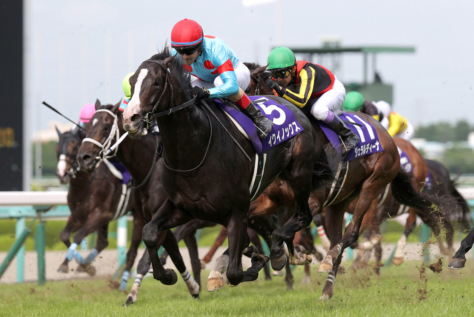 イクイノックス JRA