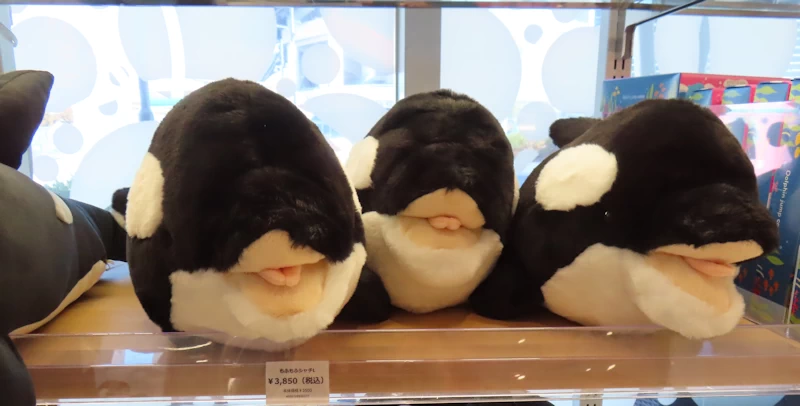 写真あり】須磨シーワールドのシャチぬいぐるみ全種類・価格一覧 | 60