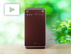 加湿空気清浄機 自動おそうじ クリエア EP-LVG110 ： 日立の家電品