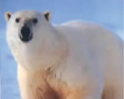 エアコン：白くまくんの部屋：日立の家電品