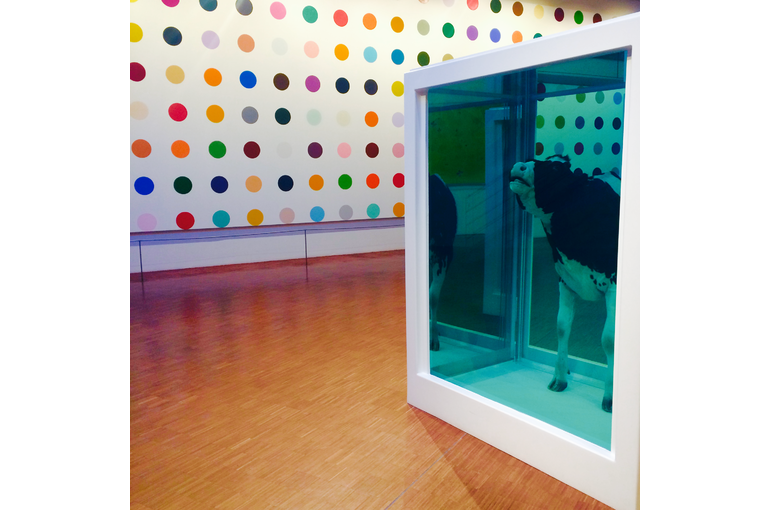 ダミアン・ハーストとはどんなアーティスト？死をテーマとする代表作や