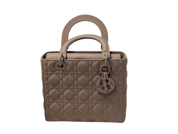 Dior クリスチャン ディオール レディディオール バッグ ウルトラ