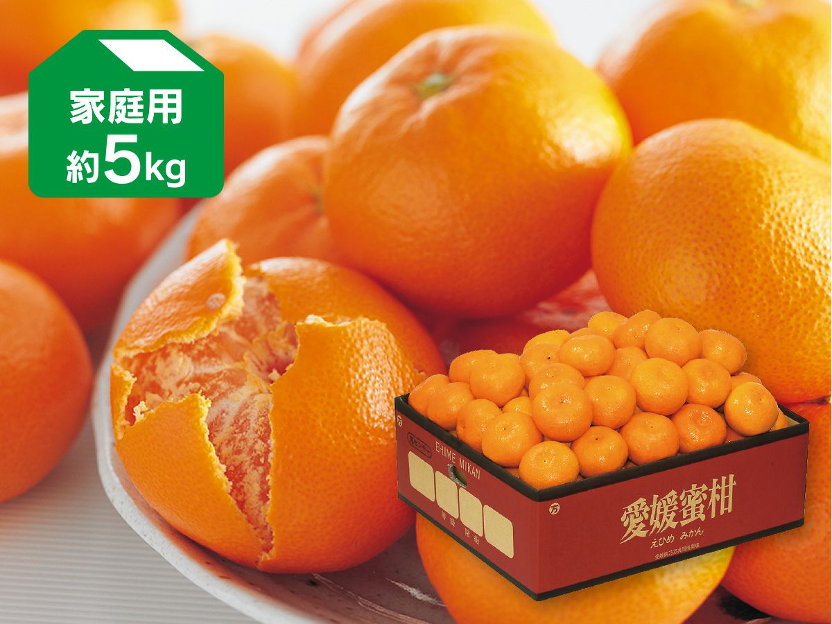 愛媛みかん5kg-家庭用 | のま果樹園