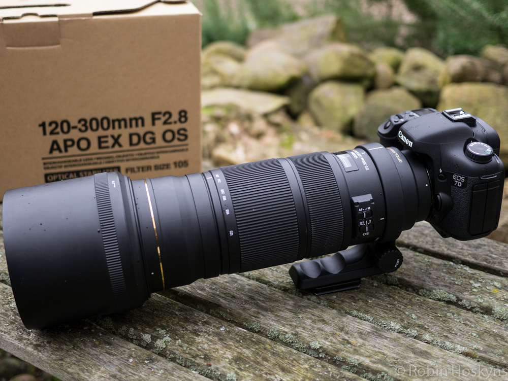 Sigma 120-300mm f/2.8 APO EX DG OS HSM Review | Kalahari Blog
