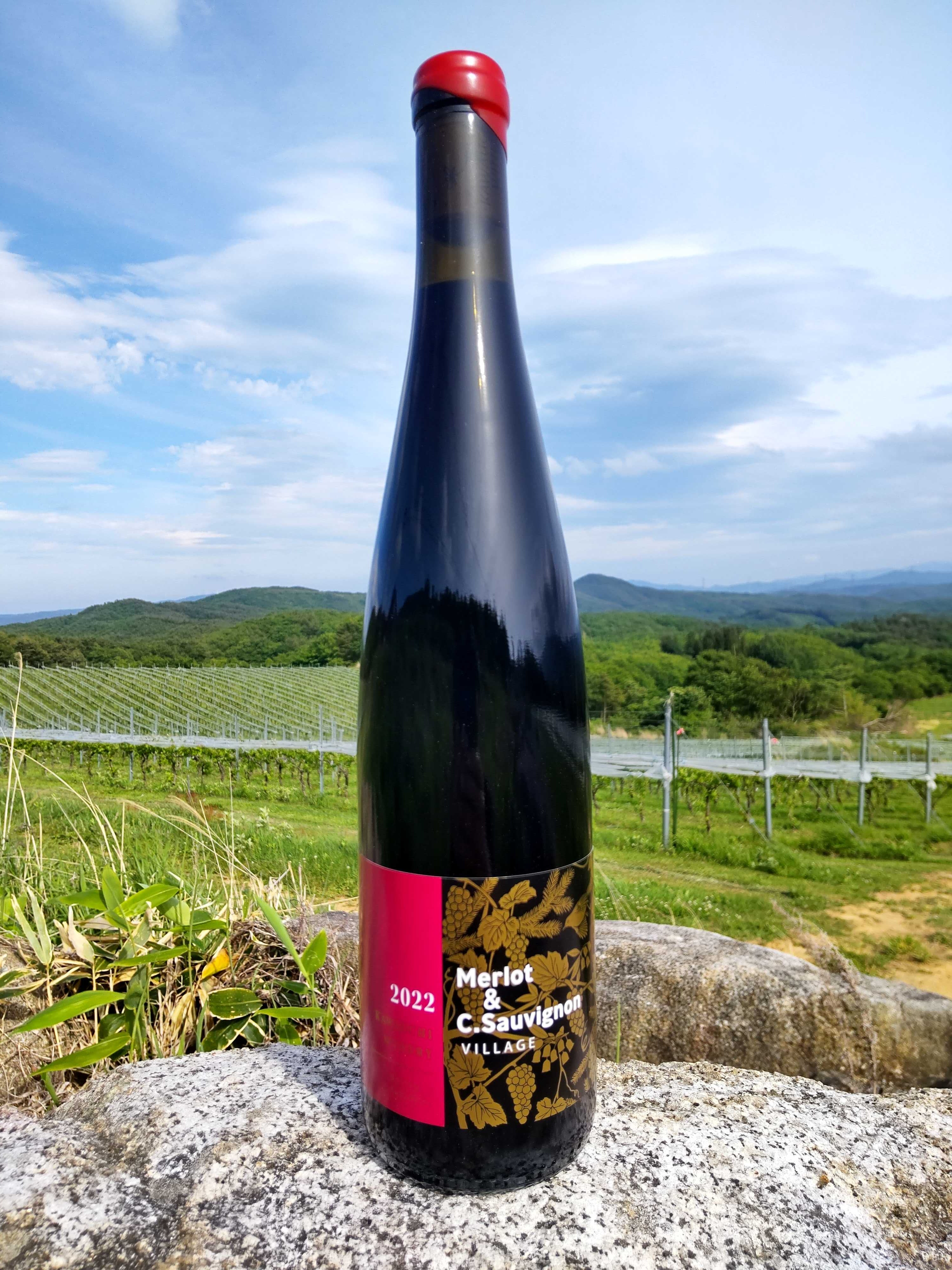 日本ワインコンクール 欧州系品種赤部門 銅賞受賞 – かわうちワイナリー