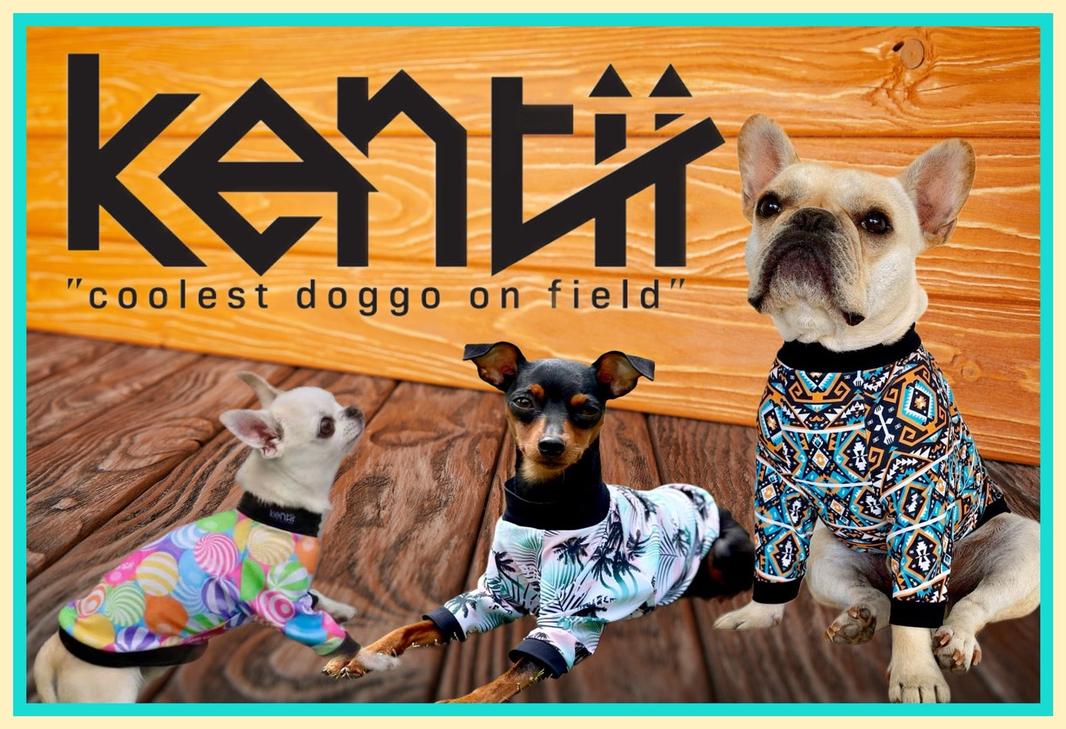 ドッグウェア ブランド kentii（ケンティー） おしゃれで高機能な犬服