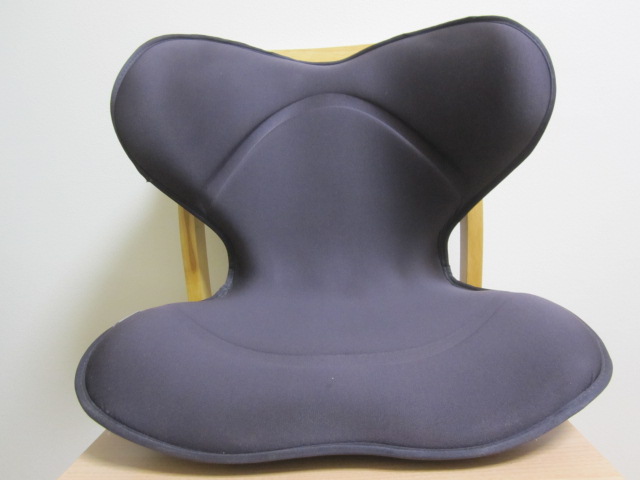 MTGスタイルスマートの1年レビュー/腰痛に/人気商品が財布にやさしい