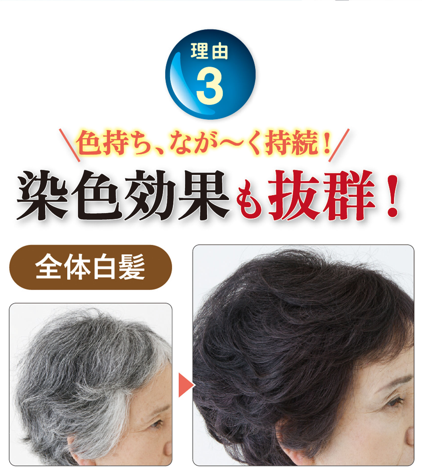 初回2本半額50%off 白髪染めサンカラーマックス① ｜ ケンコー公式