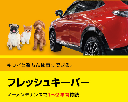 あらゆる「車の美しさ」を実現するキーパーコーティングと洗車の専門店
