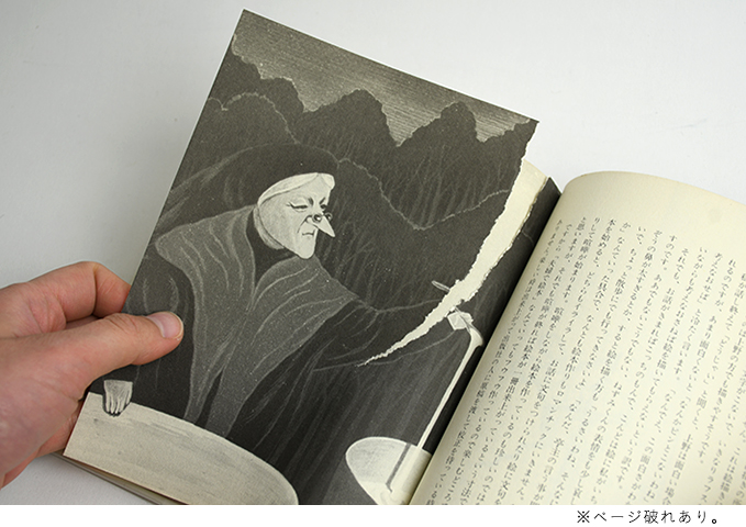 19)上野紀子｜恵文社一乗寺店 オンラインショップ