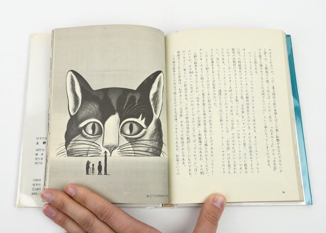 19)上野紀子｜恵文社一乗寺店 オンラインショップ