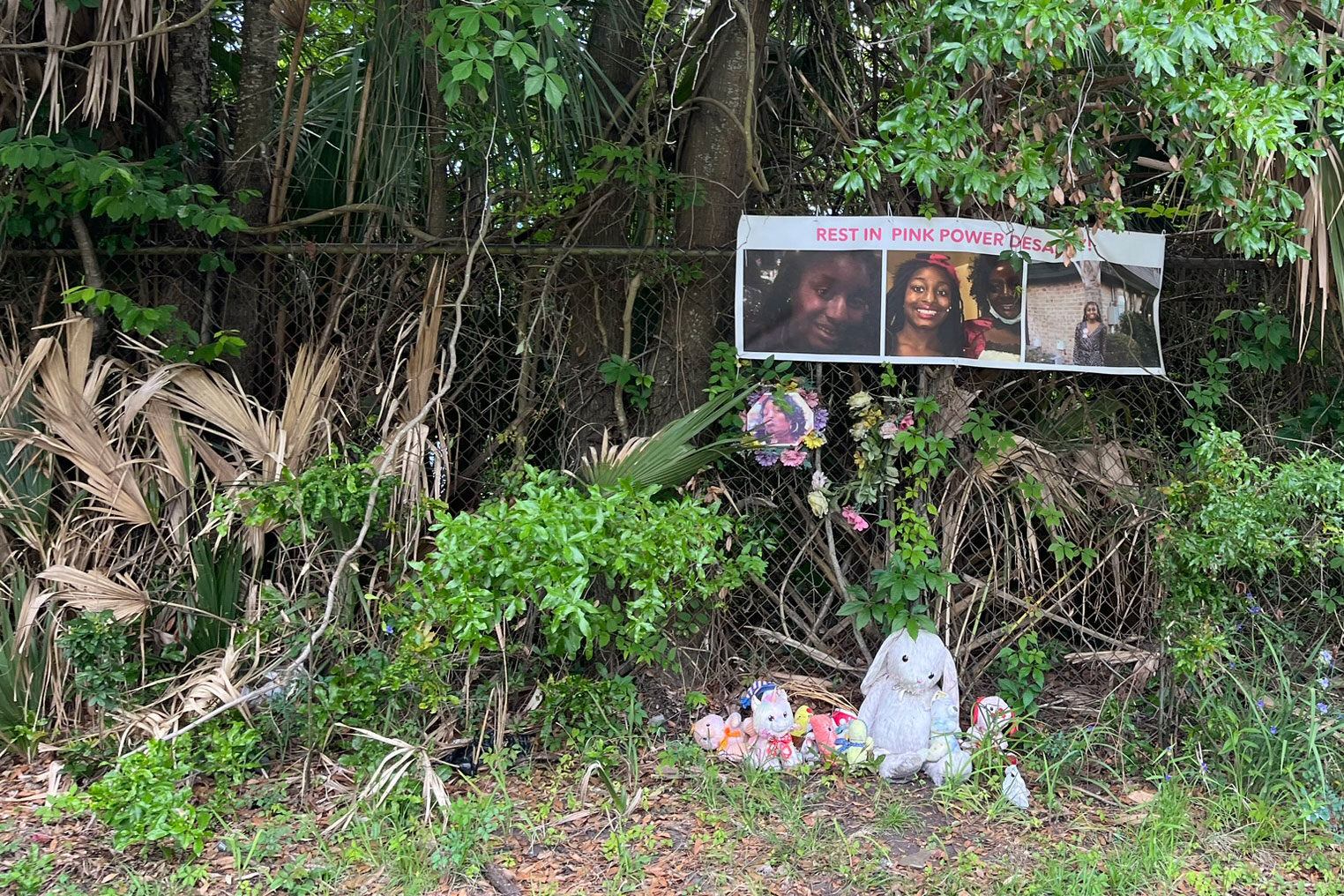 A Teen's Murder, Mold in the Walls: Unfulfilled Promises Haunt