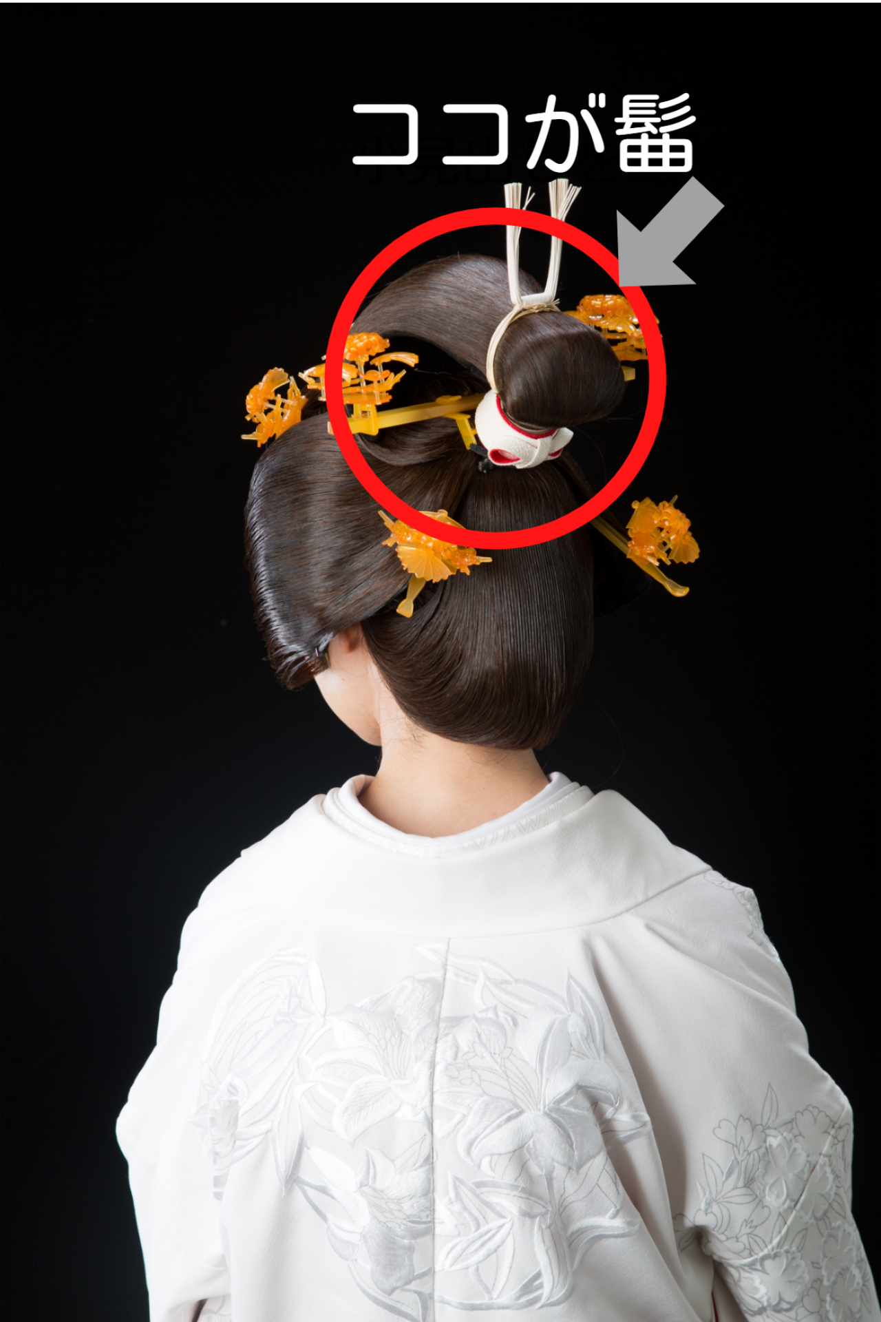 結婚式や成人式にいかが？伝統的な日本髪を結う技術者「結髪師」が