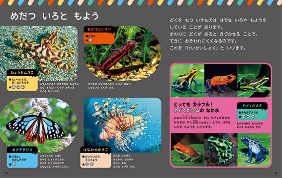 しぜん-キンダーブック - フレーベル館の月刊保育絵本