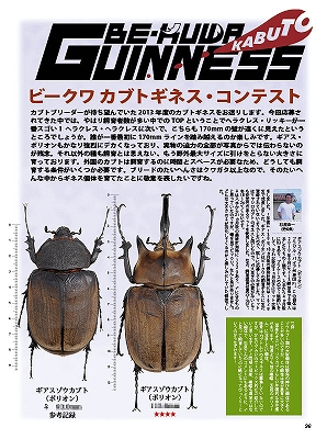ビークワ47号（BE・KUWA） 日本のミヤマクワガタ大特集