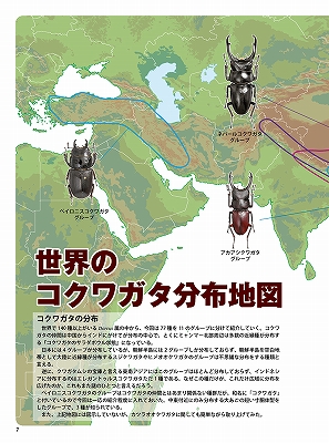ビークワ54号（BE・KUWA） 世界のコクワガタ大特集!!