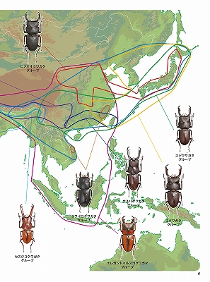 ビークワ54号（BE・KUWA） 世界のコクワガタ大特集!!