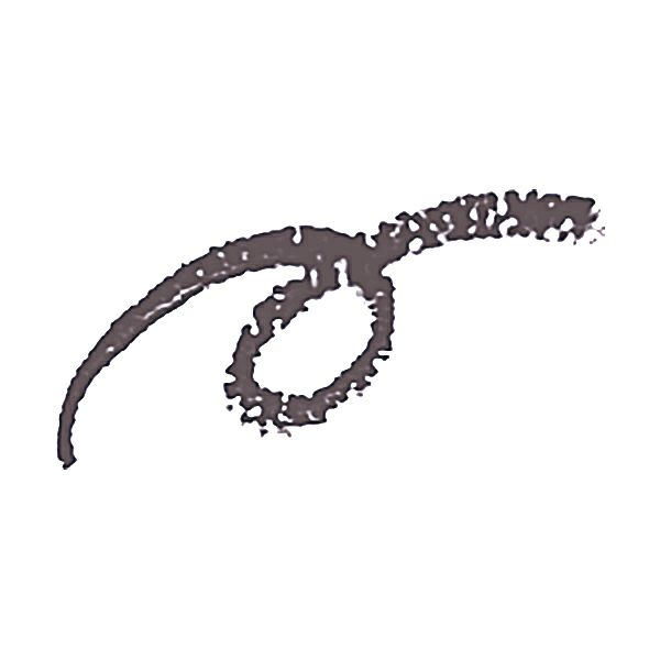 000000023664-01-xs.jpg?t=