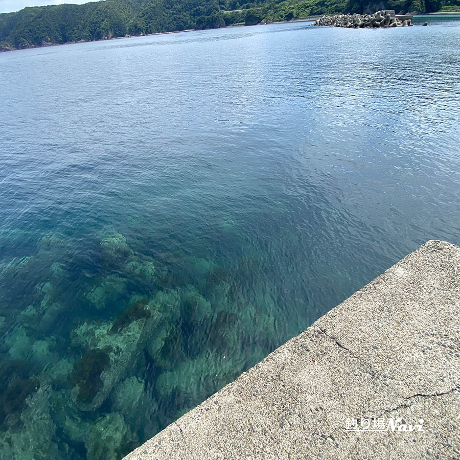 本庄港北防波堤の釣り場情報｜アオリイカ・青物・ファミリー向けにも