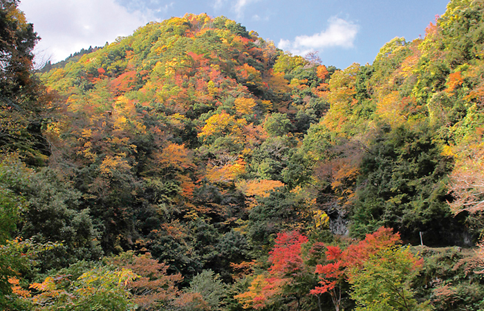 阿瀬渓谷 | まるごと北近畿