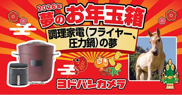 ヨドバシ・ドット・コム 2026年夢のお年玉箱調理家電の夢ネタバレ