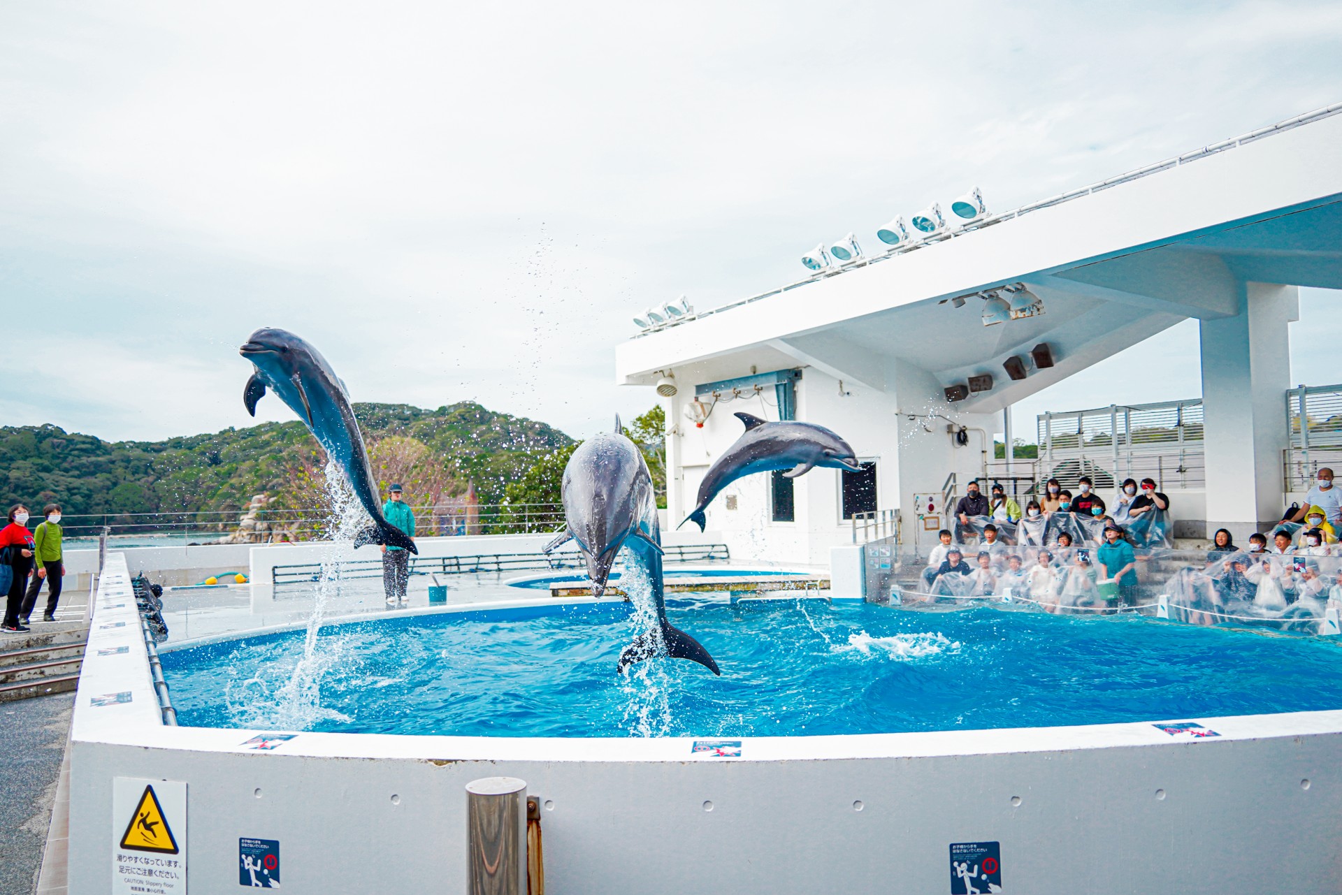 西海国立公園 九十九島水族館”海きらら”｜写真｜ライブラリ｜九州観光
