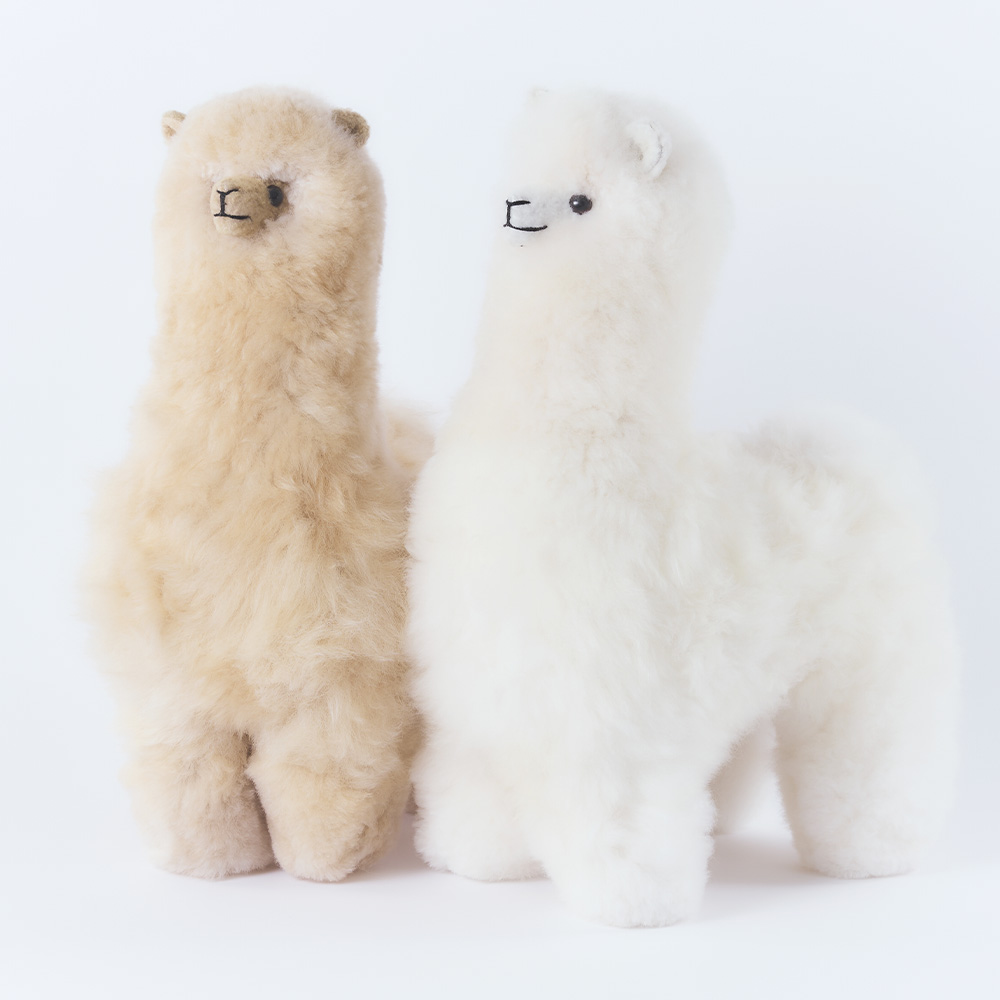 elvang｜アルパカ テディ 50*50 | KONCENT Web shop｜アッシュ