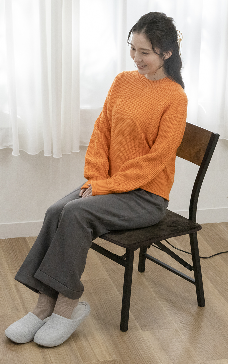 VWM452K-B | 電気マット 45サイズ 強弱切換 | KODEN | 製品情報 | 株式