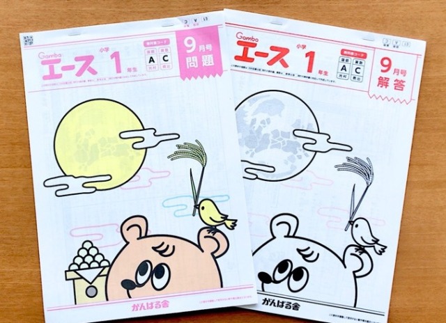 がんばる舎】Gambaエース小学生を受講した感想は？口コミ評判 - こども