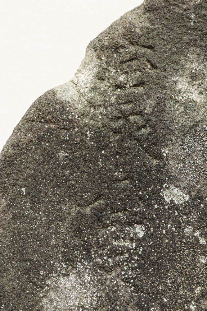 時代を重ねた風合いを纏い静かに佇む石仏 DC6579 – 古福庵 [ KOFUKUAN