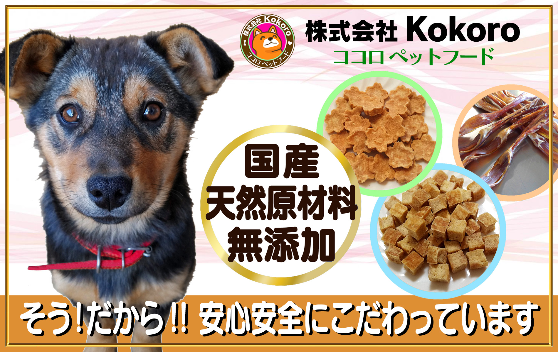 株式会社Kokoro | 広島県産の天然素材のペットフード自社工場で