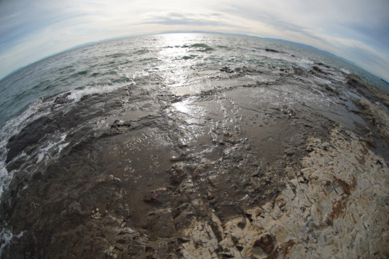 オールドレンズ入門-⑤】ロシアの超広角！？KMZ MC ZENITAR 16mm F2.8