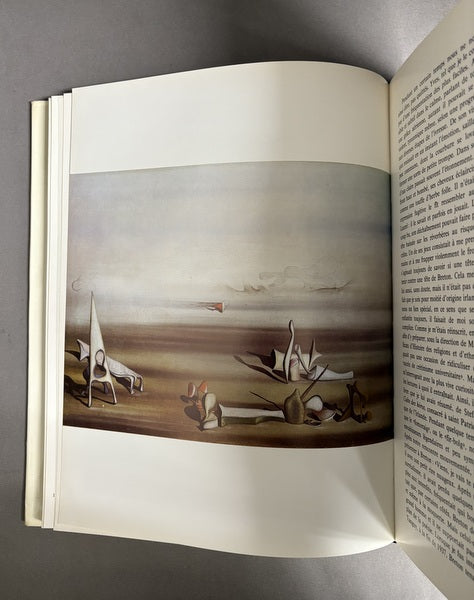 YVES TANGUY イヴ・タンギー画集 – 古書ドリス