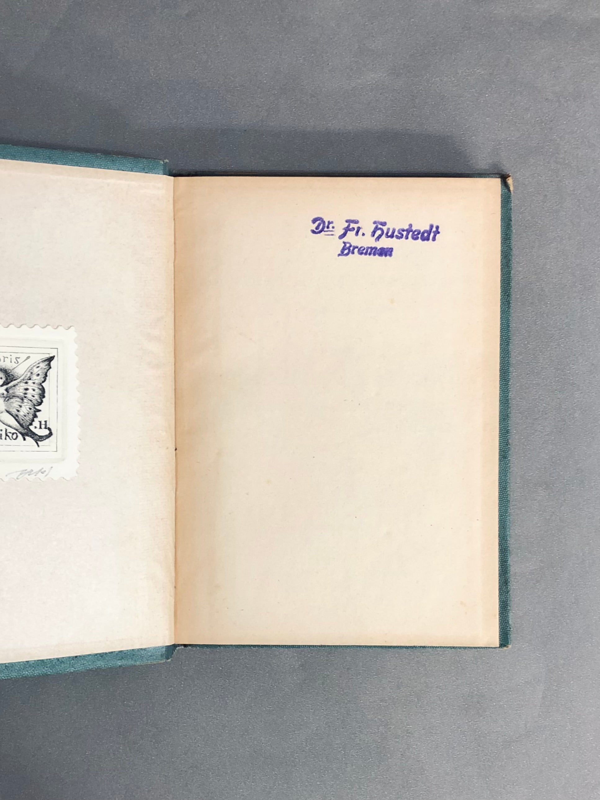 J.Strum s Flora von Deutchland ドイツのポケット植物図鑑 洋書 【林