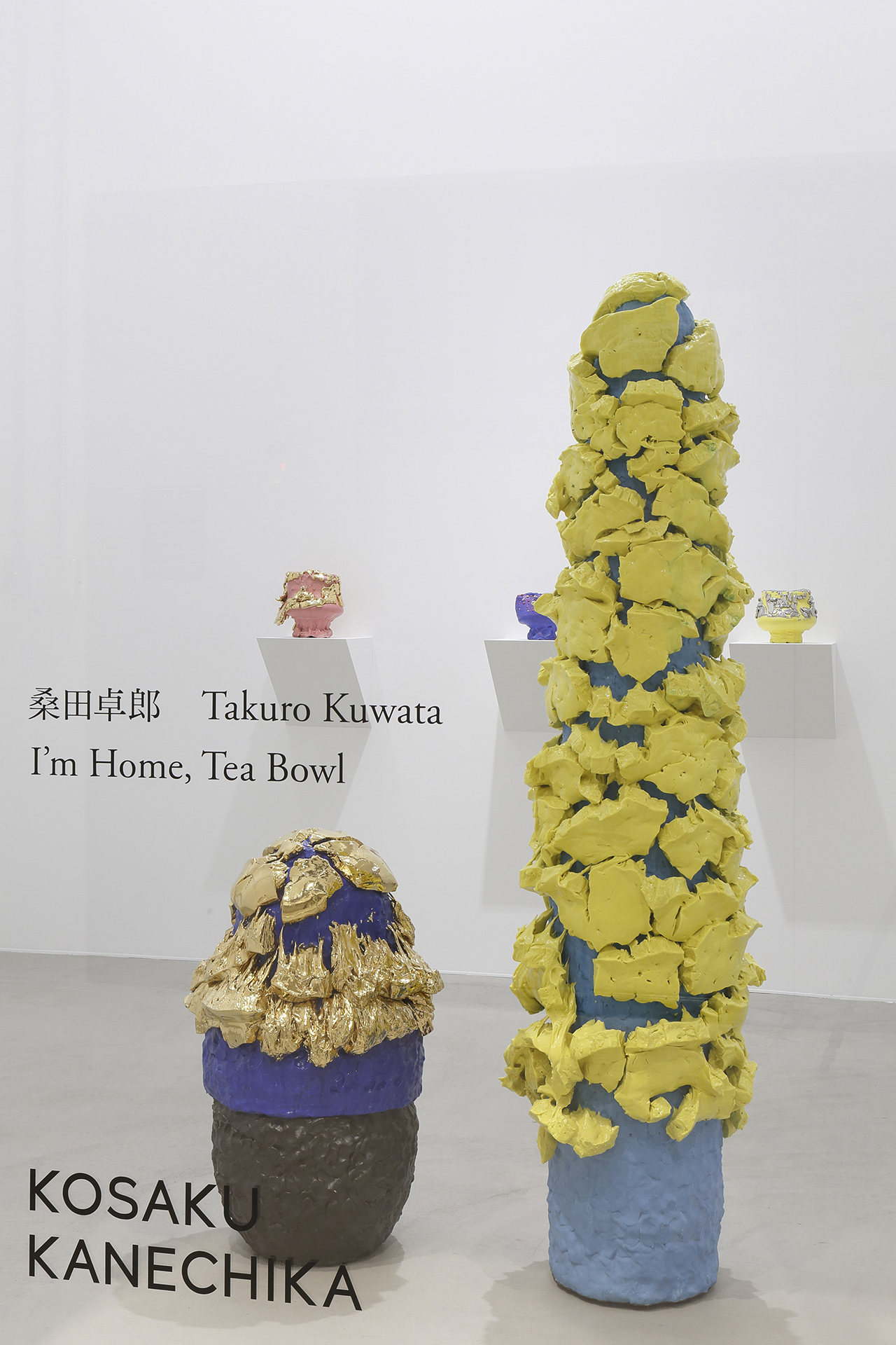 桑田卓郎 「I'm Home, Tea Bowl」 – KOSAKU KANECHIKA