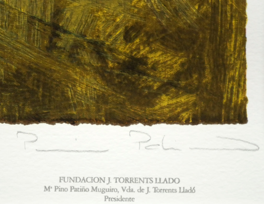 トレンツ リャド（Torrents LLADO）「カロリーナ・アミーゴ嬢」シルク