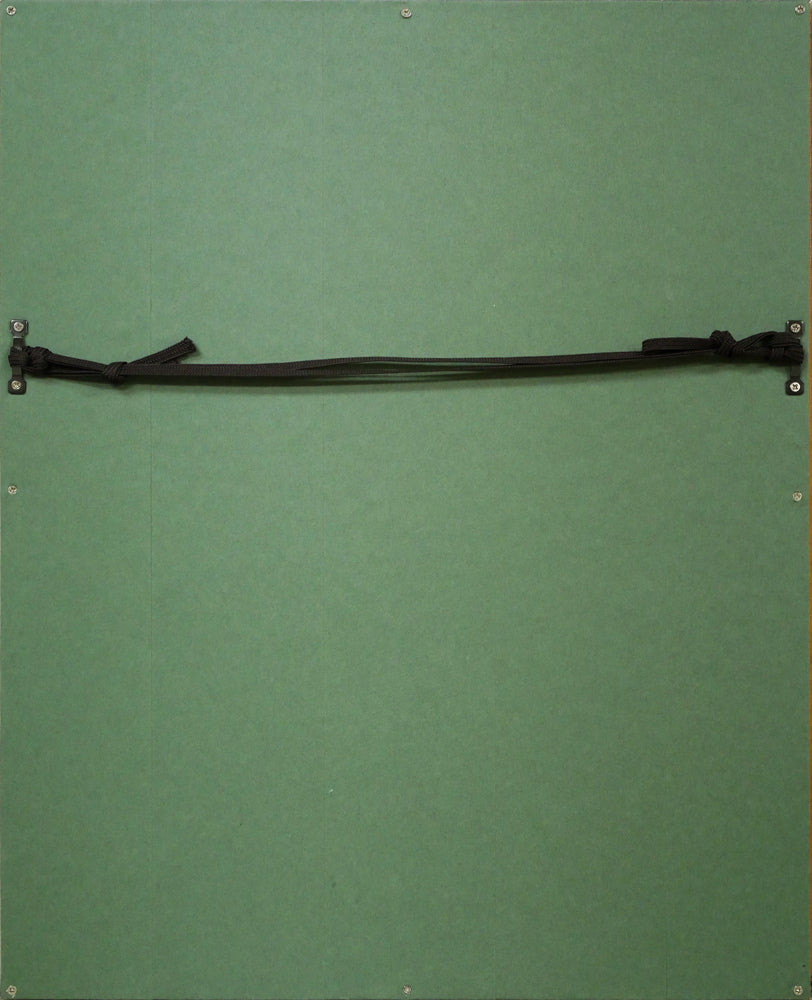 ジェームス・リジィ（JAMES RIZZI）「SMOOTH SAILING」3Dシルク