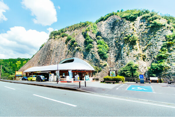 古座川町の一枚岩（いちまいいわ）国指定の天然記念物 | 古座川町観光協会