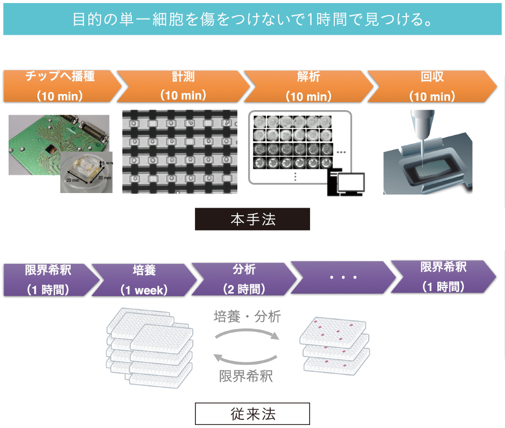 貴重で高機能な細胞1つを、標識せずに細胞の回転速度から見つけ出す