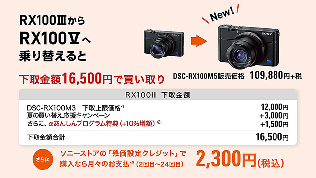 RX100Ⅵをはじめとして、RX100シリーズに使えるソニー純正のおすすめ