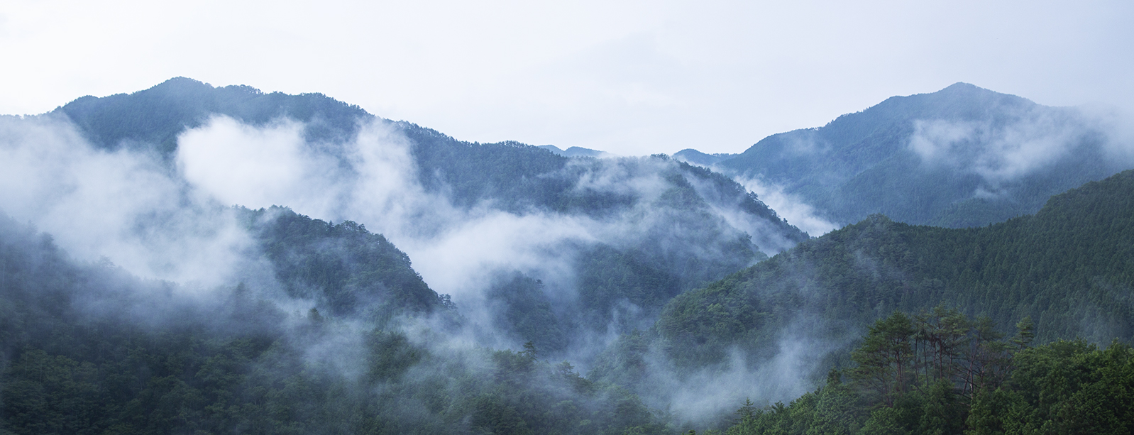 別冊KŪKAI『人生を変える旅 高野山』が7月14日発売！ | KUKAI編集部