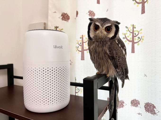 卓上空気清浄機はペット部屋にぴったり！小型でサブとして秀逸だった