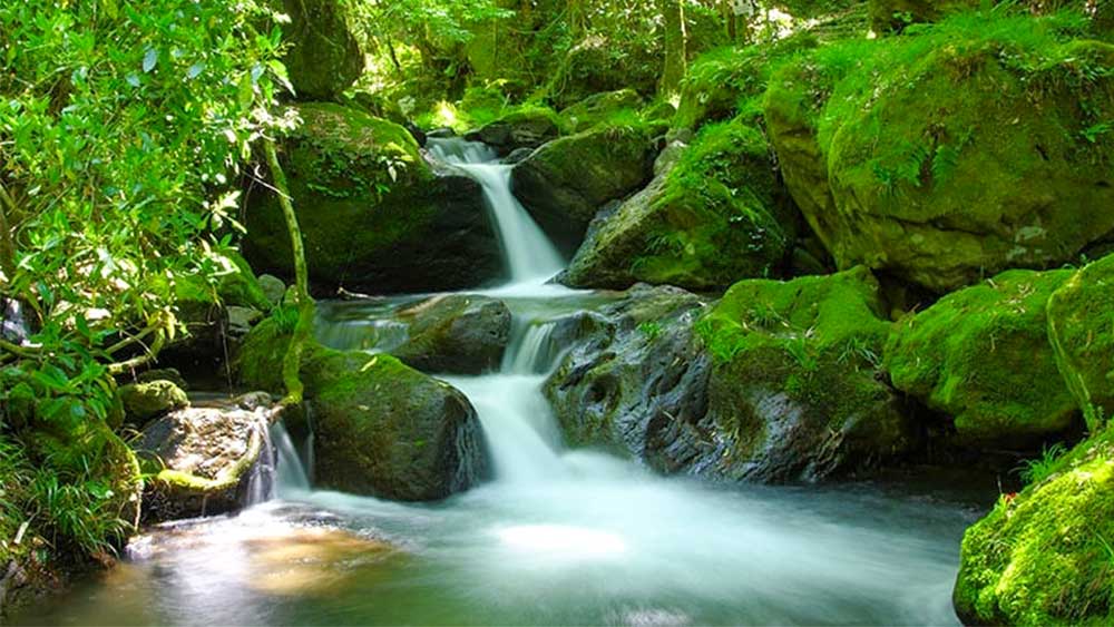 豊の国名水15選「清水瀑園」 - 玖珠町観光協会