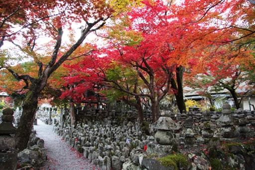 化野念仏寺 | 京都の時空に舞った風