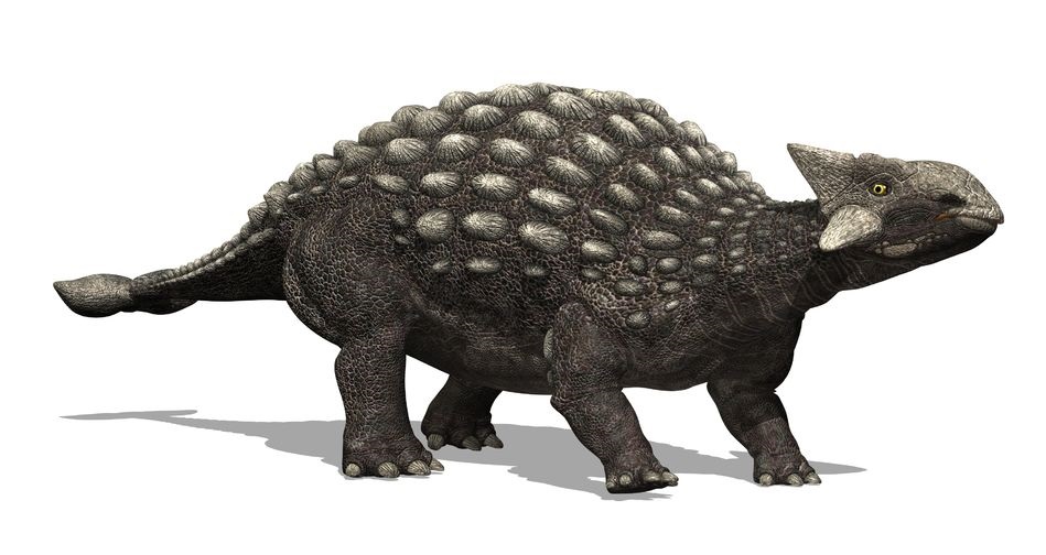 アンキロサウルス(Ankylosaurus) | 恐竜図鑑
