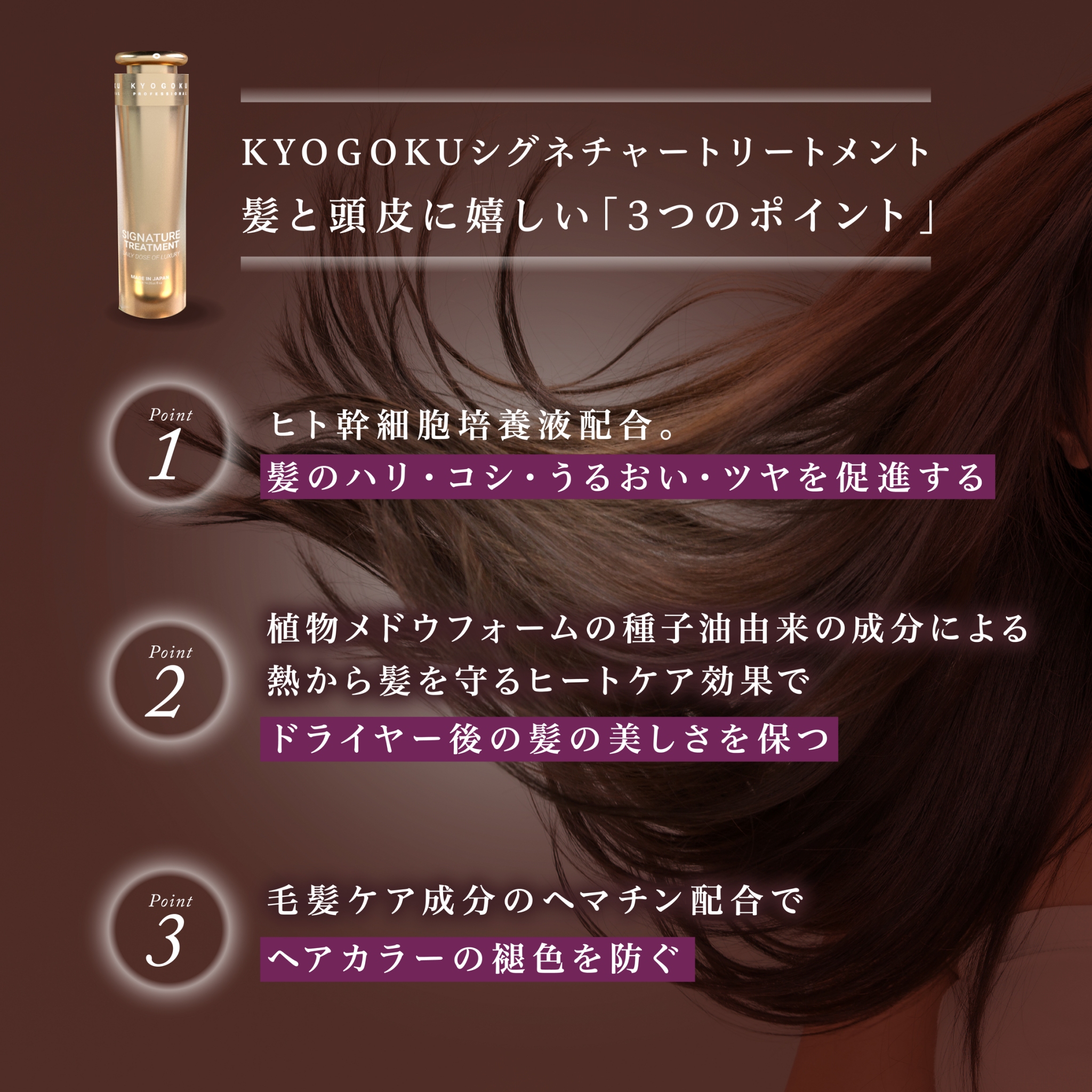 Kyogoku Professional / KYOGOKUシグネチャートリートメント120ml 天然